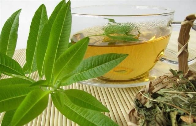 بهلیمو؛ گیاهی معطر که در طب سنتی برای آرامش و گوارش استفاده میشود