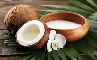 آیا شیر نارگیل را میتوان جایگزین شیر مادر کرد ؟