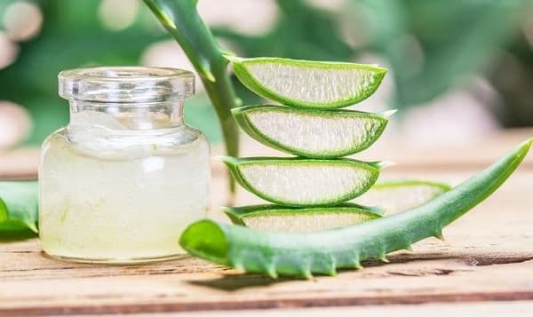 ژل این گیاه زخم پای دیابتی را درمان می کند