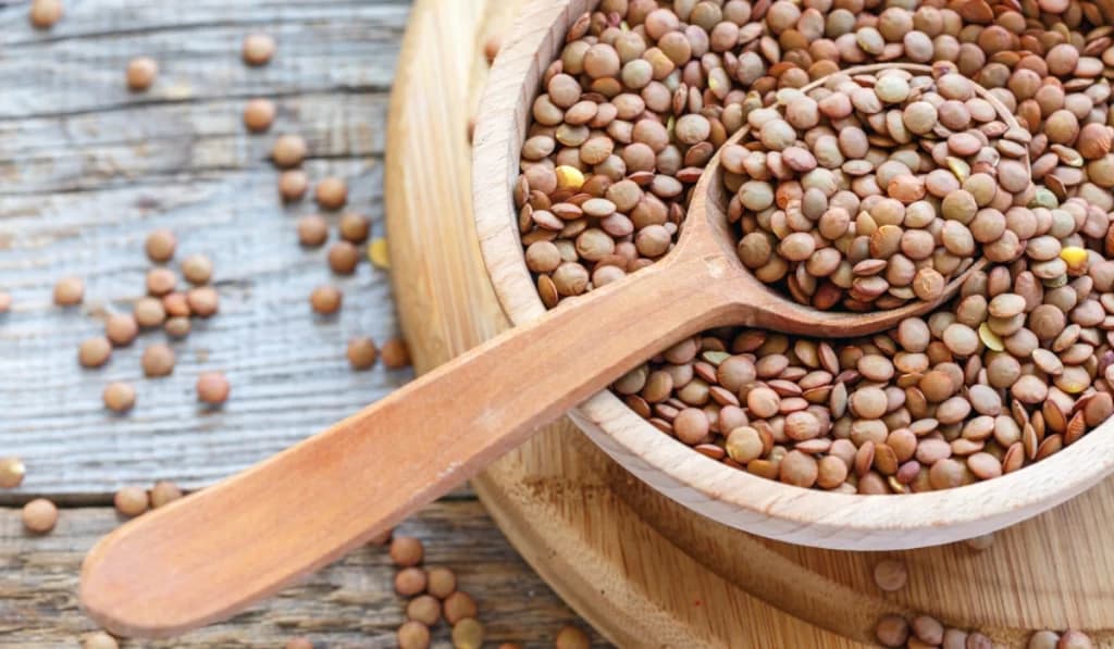 عدس؛ غذایی ساده و سرشار از فیبر و پروتئین گیاهی
