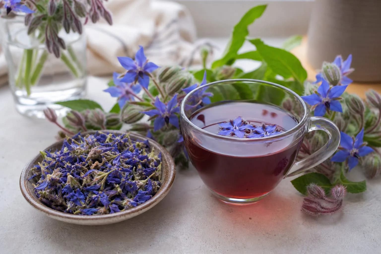 گل گاوزبان؛ گیاهی آرامبخش در طب سنتی که نیاز به مصرف محتاطانه دارد