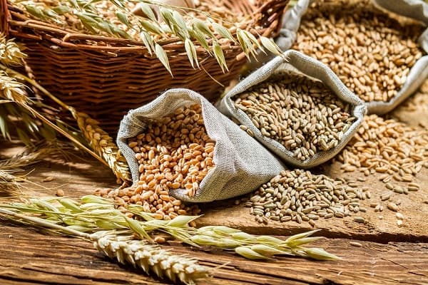 مصرف غلات کامل با بهبود چند عامل خطر بیماری قلبی مرتبط است