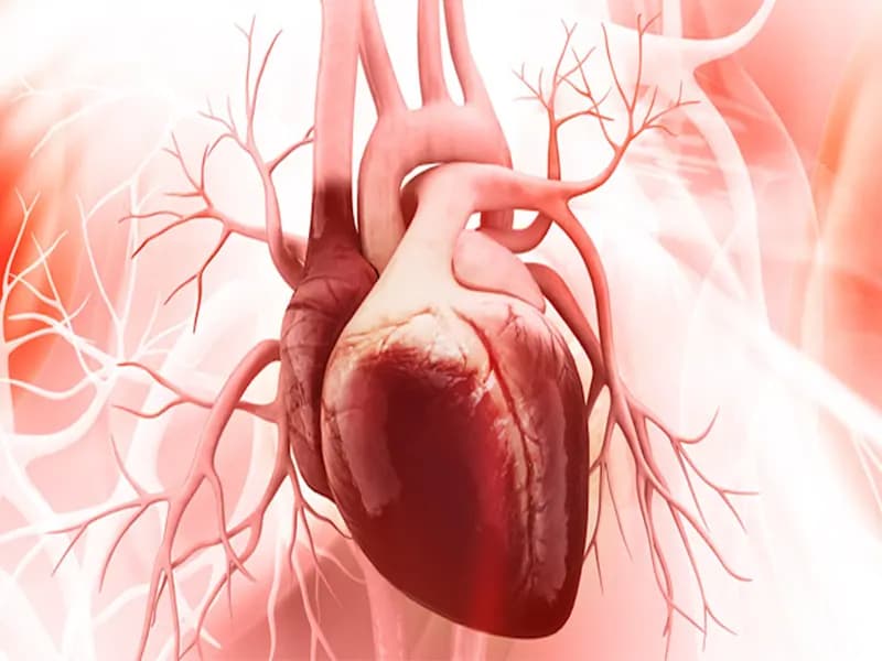 التهاب مزمن میتواند سالها پیش از بروز علائم به قلب آسیب بزند