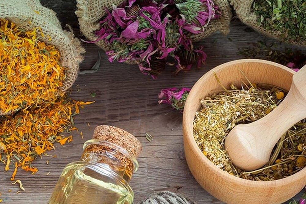 گیاه دارویی کمترشناختهشده زیر ذرهبین پژوهشگران؛ از مشکلات ادراری تا التهاب