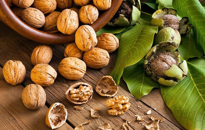 تأثیر مصرف گردو بر سلامت قلب؛ مغزی پرخاصیت در رژیم غذایی