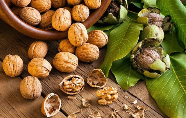 تأثیر مصرف گردو بر سلامت قلب؛ مغزی پرخاصیت در رژیم غذایی