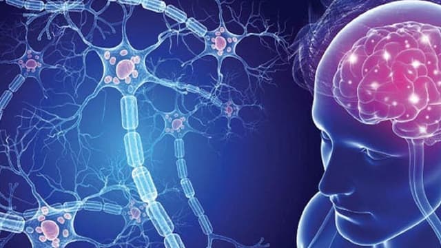 تأیید نخستین داروی بیماری نادر الکساندر پس از سه دهه پژوهش