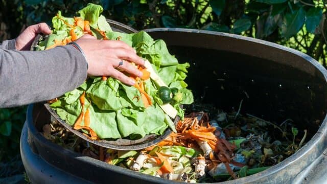7 گام عملی برای کاهش دورریز غذا در خانه