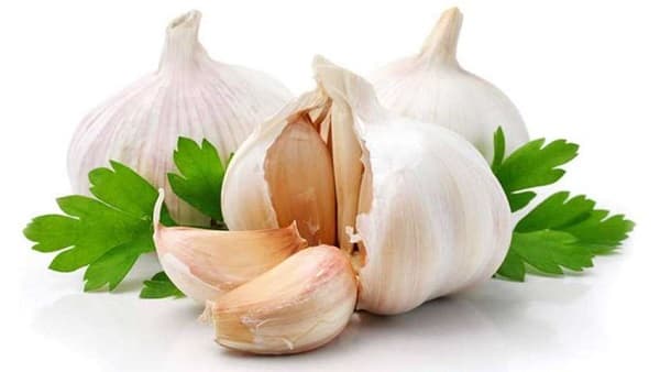 خواص سیر از نظر علم؛ پژوهش های جدید چه میگوید