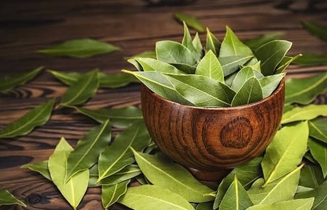 دمنوش برگ بو ممکن است بر شاخصهای التهاب و استرس تأثیر بگذارد