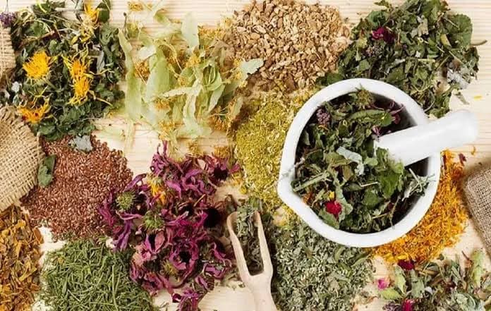 کارآزمایی بالینی، اثربخشی یک فرآورده گیاهی چینی را در درمان سنگ کلیه بررسی کرد