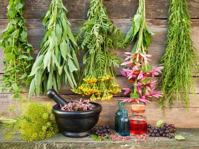 مطالعه بالینی، تأثیر ترکیب دو داروی گیاهی سنتی بر علائم آرتریت روماتوئید را بررسی کرد