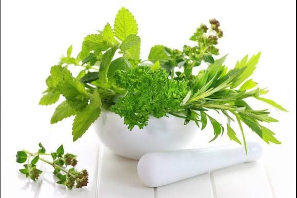 مرور ۳۴ مطالعه درباره یک گیاه دارویی؛ خواص ضدالتهابی و ضدمیکروبی زیر ذرهبین محققان