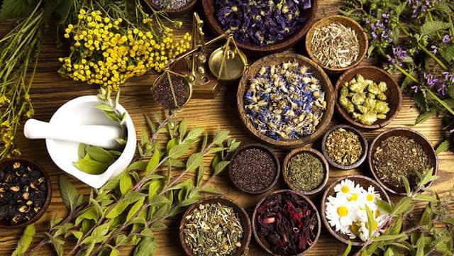 نتایج یک کارآزمایی بالینی: عصاره گیاهی توانست دفع سنگهای حالب را افزایش دهد