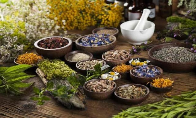 فراخوان ملی حمایت از طرحهای نوآورانه در حوزه طب ایرانی و گیاهان دارویی منتشر شد
