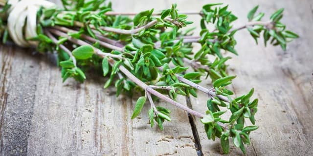 آویشن یک ضدالتهاب قوی