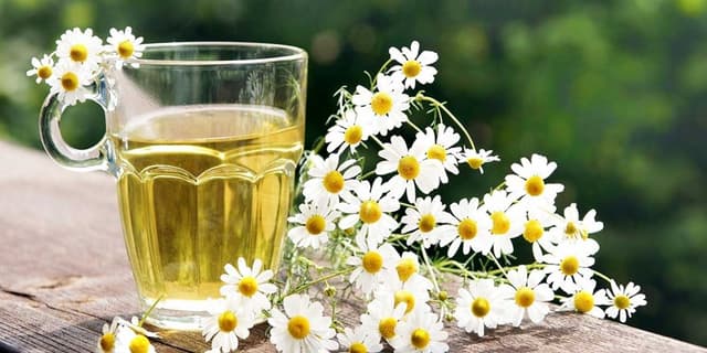 کاهش 11درصدی قند خون بااین گیاه معجزه گر