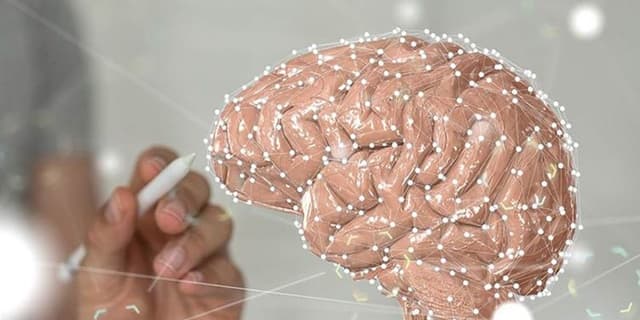 چگونه از خشکی مغز جلوگیری کنیم؟