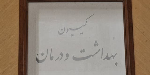 کمیتههای کمیسیون بهداشت مجلس دوازدهم تشکیل شد