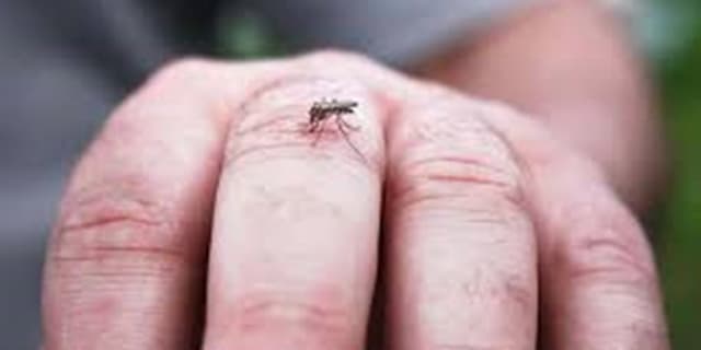 تب دنگی برای چه کسانی خطرناکتر است؟
