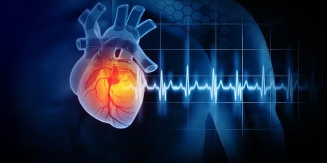 شش باور اشتباه رایج در مورد بیماری قلبی