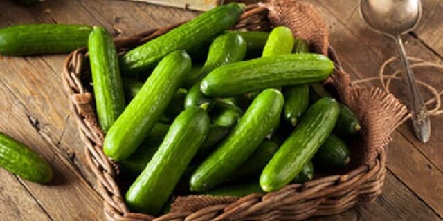 آیا تلخی انتهای خیار قند خون را کاهش می دهد؟