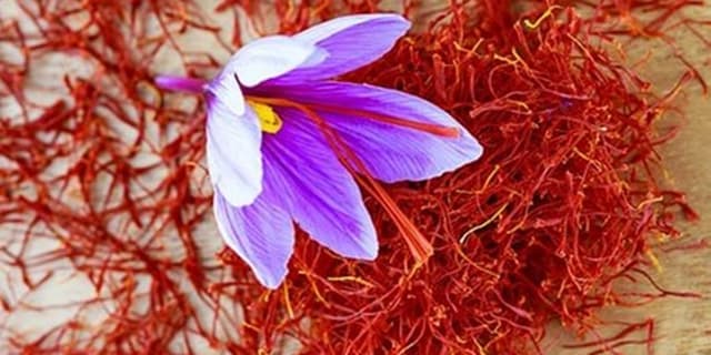 زعفران بر خلق و خو چه تاثیری دارد؟
