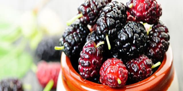 ترکیبات میوه میتواند به مدیریت دیابت نوع دو کمک کند