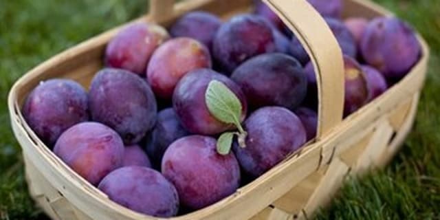 این میوه حریف همه بیماریهاست