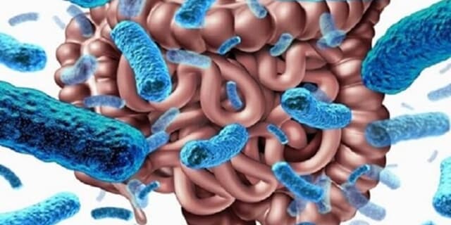 براي سلامت روده چه ورزشي مفيد است؟