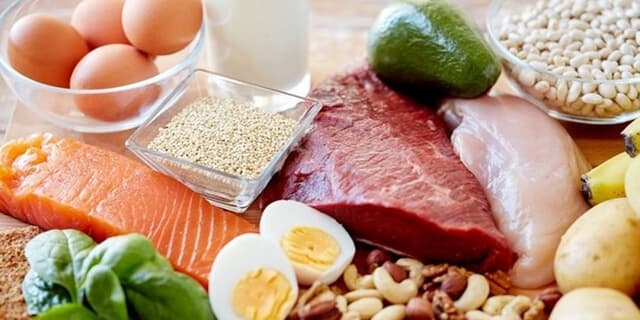 چرا پروتئین مادهای ضروری برای بدن است؟